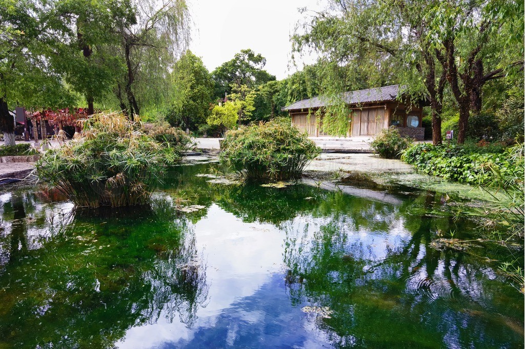 麗江束河古鎮(zhèn)的園林景色