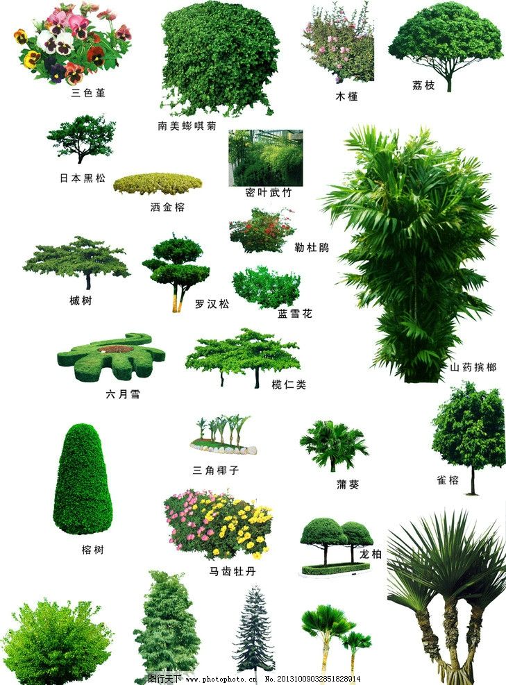 園林景觀圖片_風景_PSD分層_